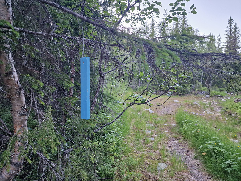 Blåmerket