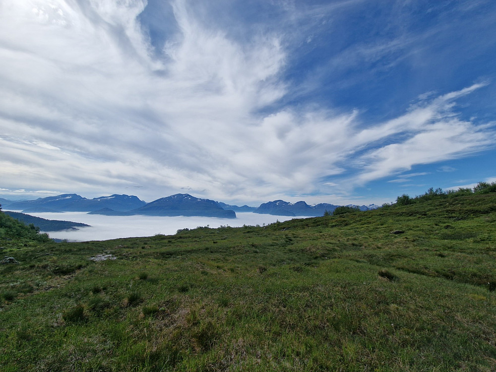 Synnulvsfjorden