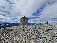 Peregrinus_20240716_6696be556f023.jpg