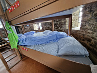 Peregrinus_20240716_6696be55e4dc6.jpg