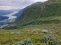 Peregrinus_20240716_6696be57d44dc.jpg