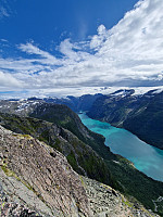 Peregrinus_20240716_6696be58d49c4.jpg