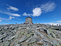 Peregrinus_20240716_6696be5a68b78.jpg