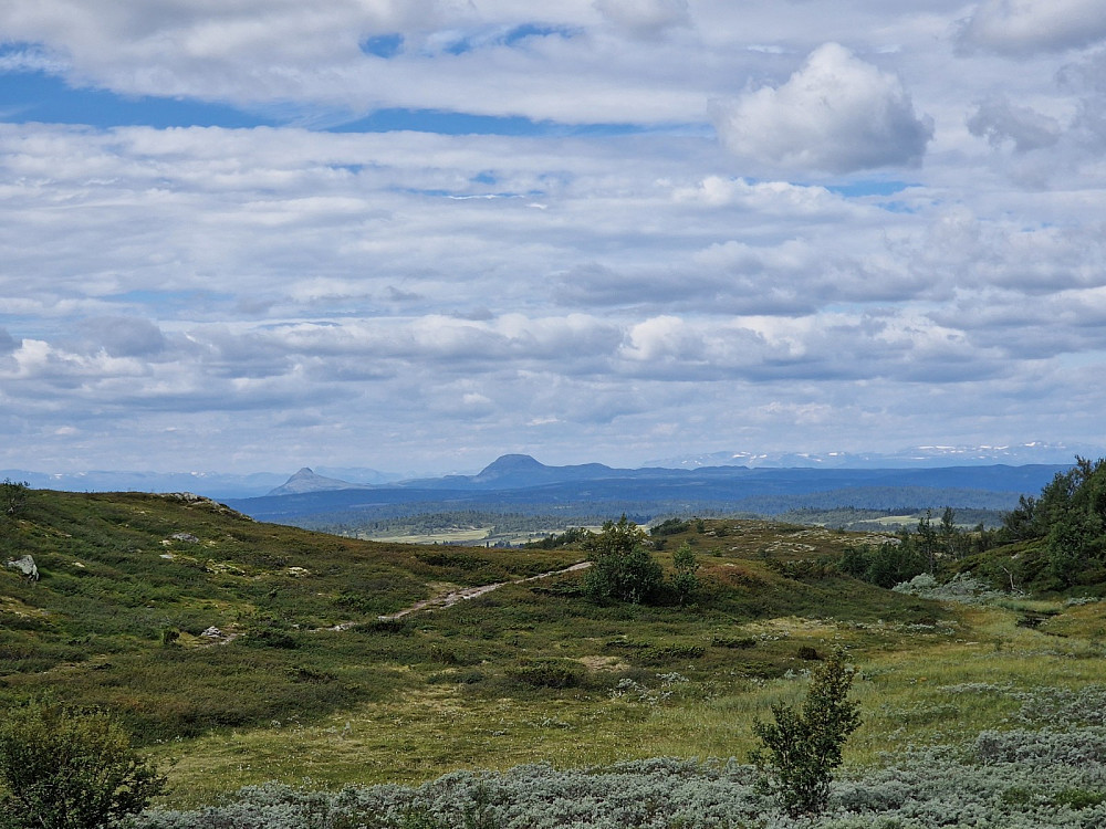 Rundemelen, og skarvemelen