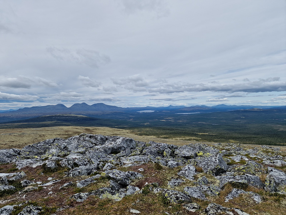 Sølen mm