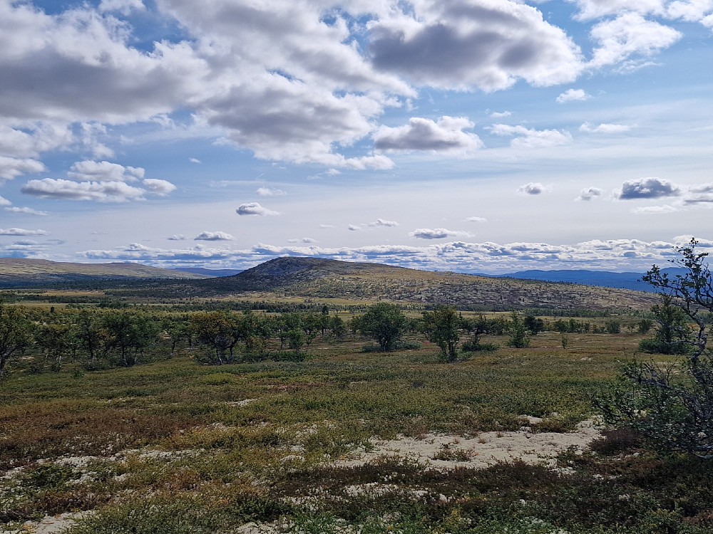 Veslefjellet