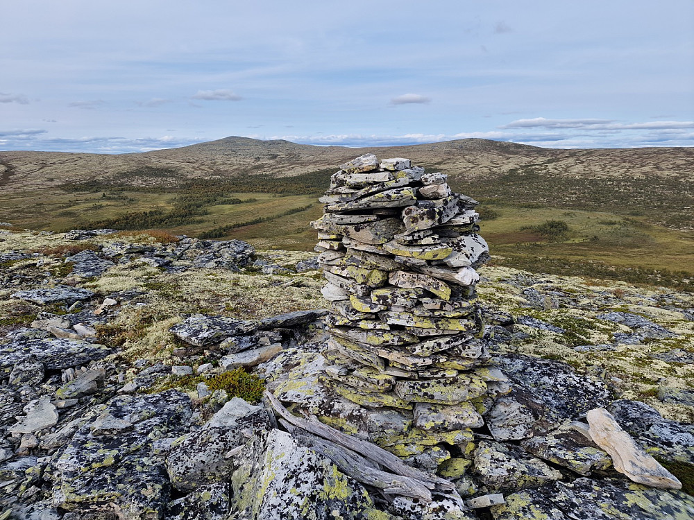 Varden