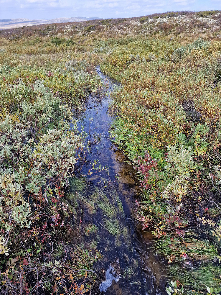 Det var bløtt i terrenget etter flere dager med regn. Her er deler av stien..