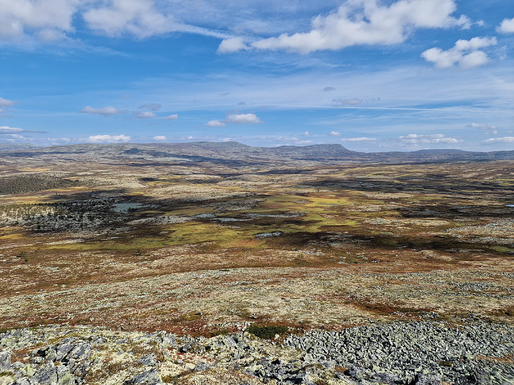 Utsikt fra Brentfjellet østover.