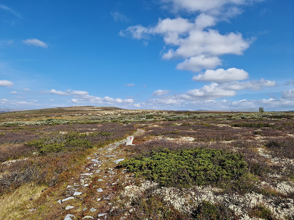 Deler av Rondanestien