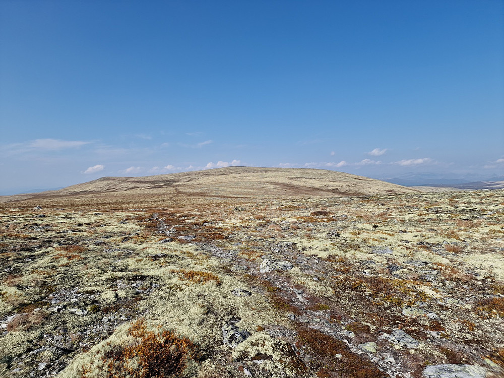 Langfjellet