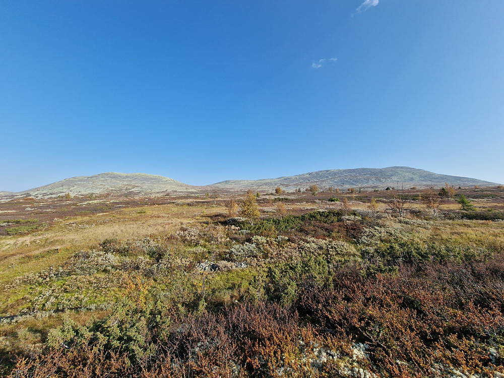 Dagens turmål