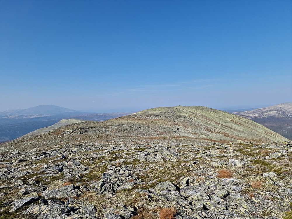 Spekehøan
