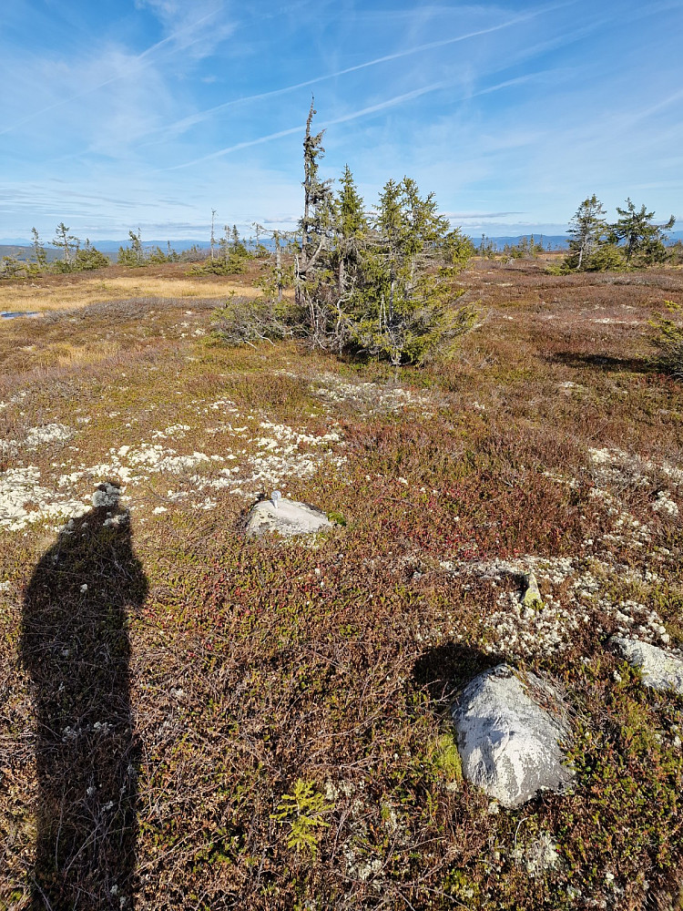 Gilderåsen. "Toppunktet" er merket med grensepåle