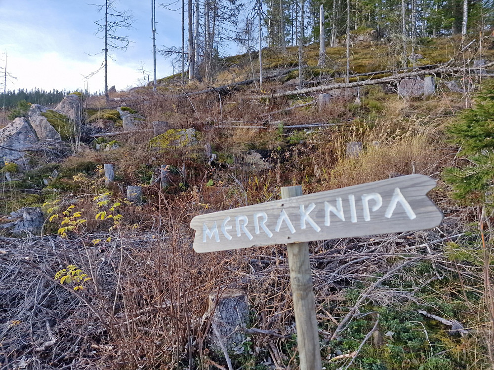 Lurer på hva som er der...