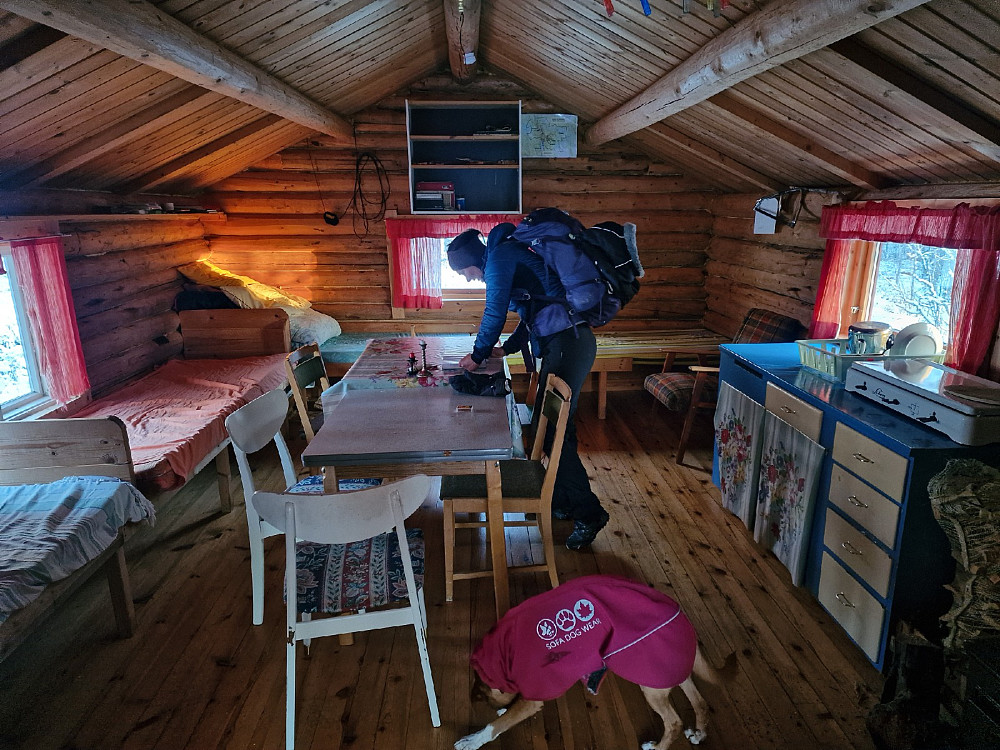 Bekkedalskoia ligger i glissen furuskog rett sør for fjellet Kvernesvola i Rendalen kommune. Opprinnelig het koia Kvernøibua og sto nede ved elva Mistra hvor den fram til krigens dager ble benyttet som fløterkoie og under fiske etter storørret, såkalt sløfiske. Ved dette fisket ble vannet i elva ble ført inn i en trerenne og fisken ble fanget i en trekasse gjennom ei grind hvor vannet enkelt fløt gjennom.

Koia ble flyttet opp til der den står i dag på 1980-tallet og fikk så navnet Bekkedalskoia.