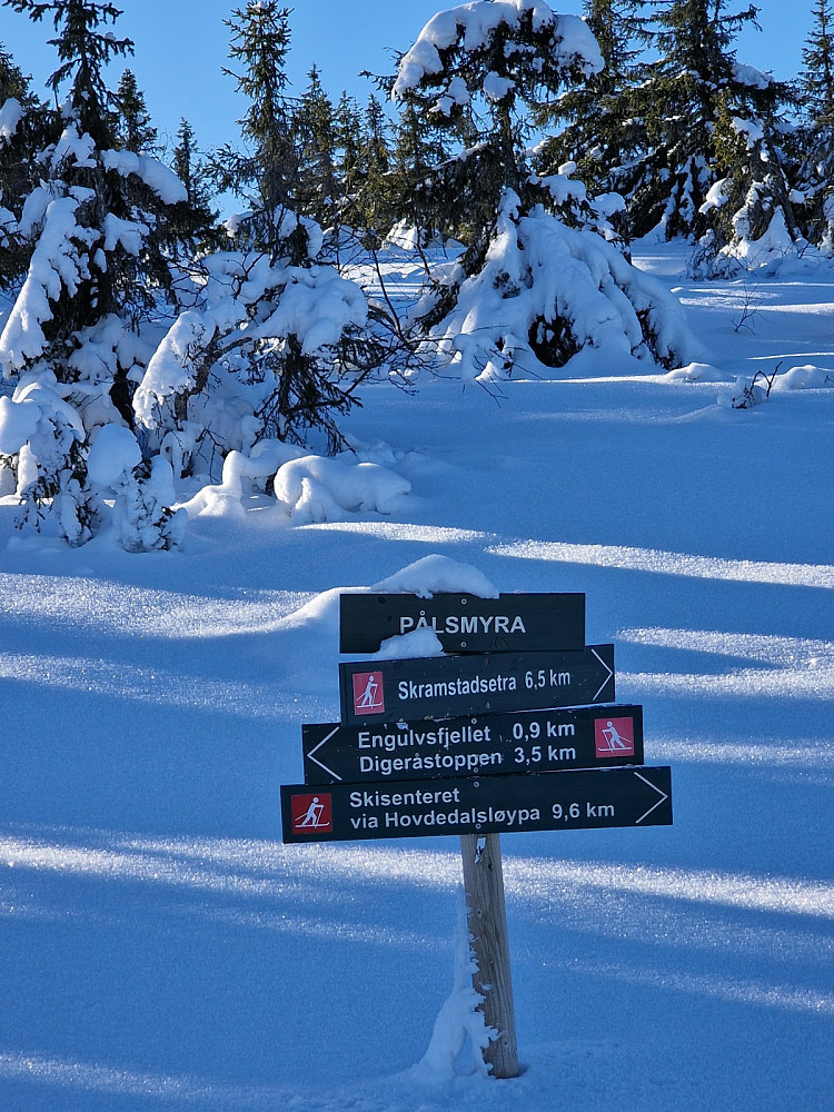 Skilt