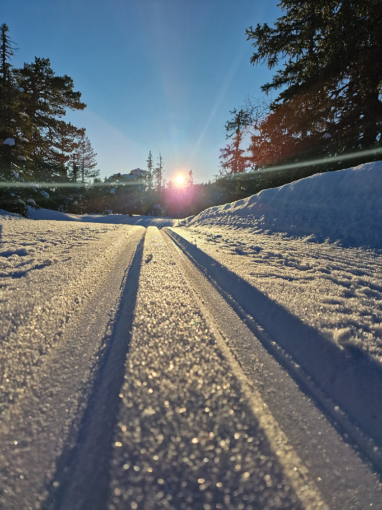 I skisporte
