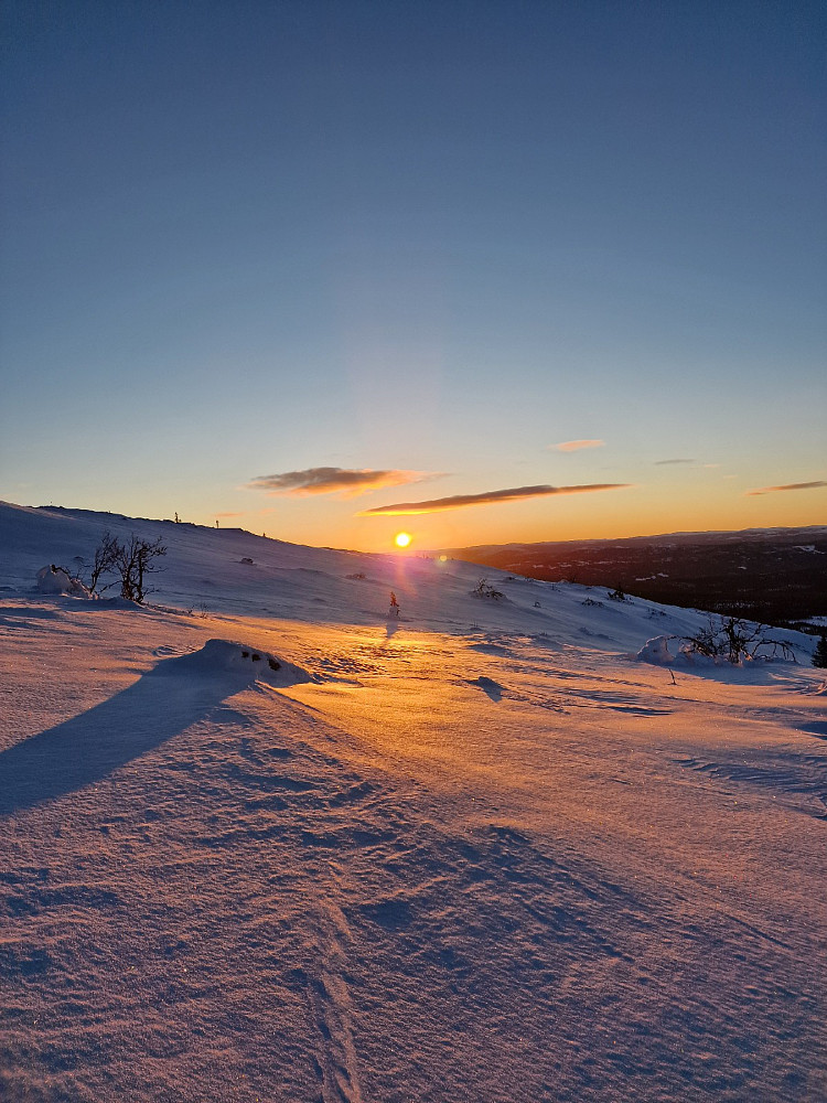 Solnedgang