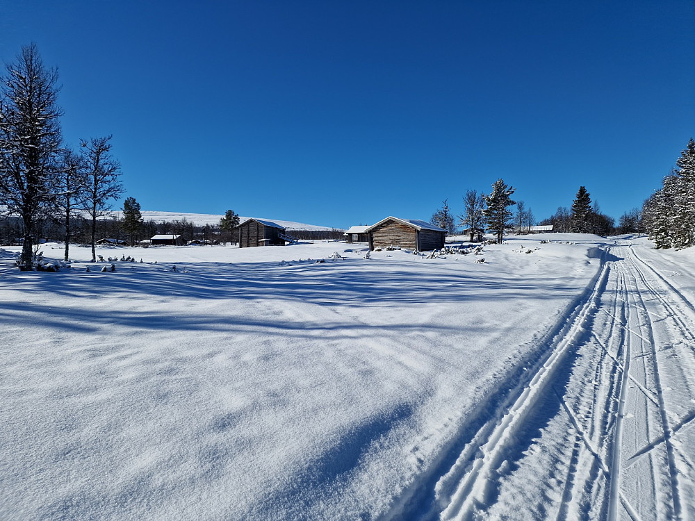 Sæter