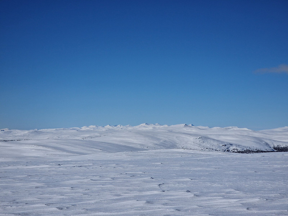Rondane