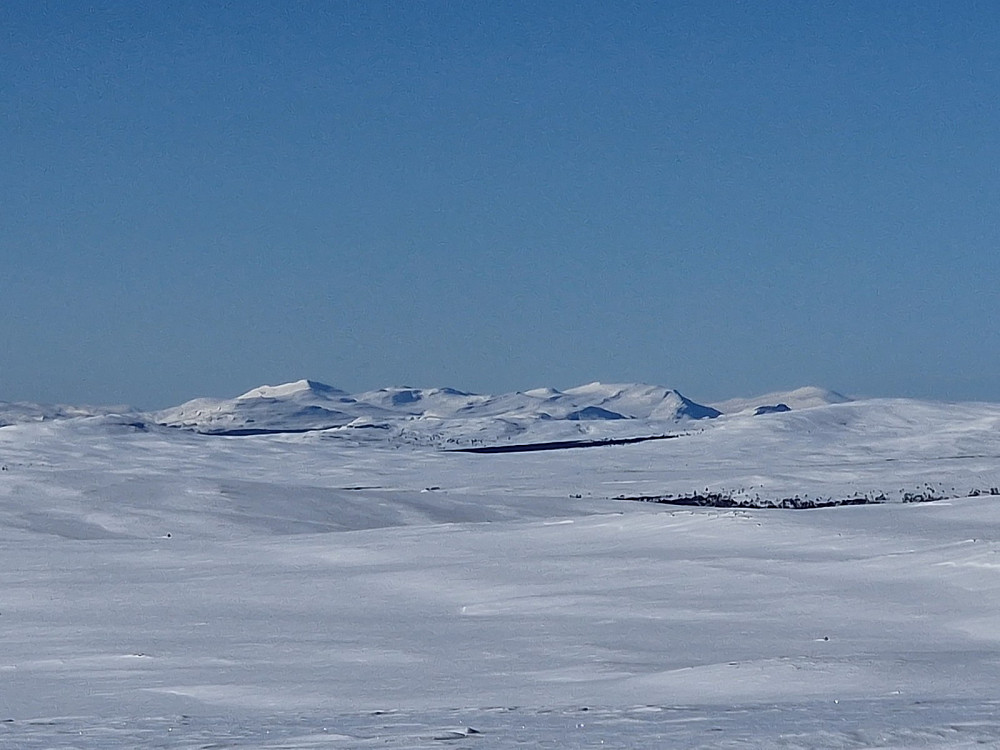 Snøhetta