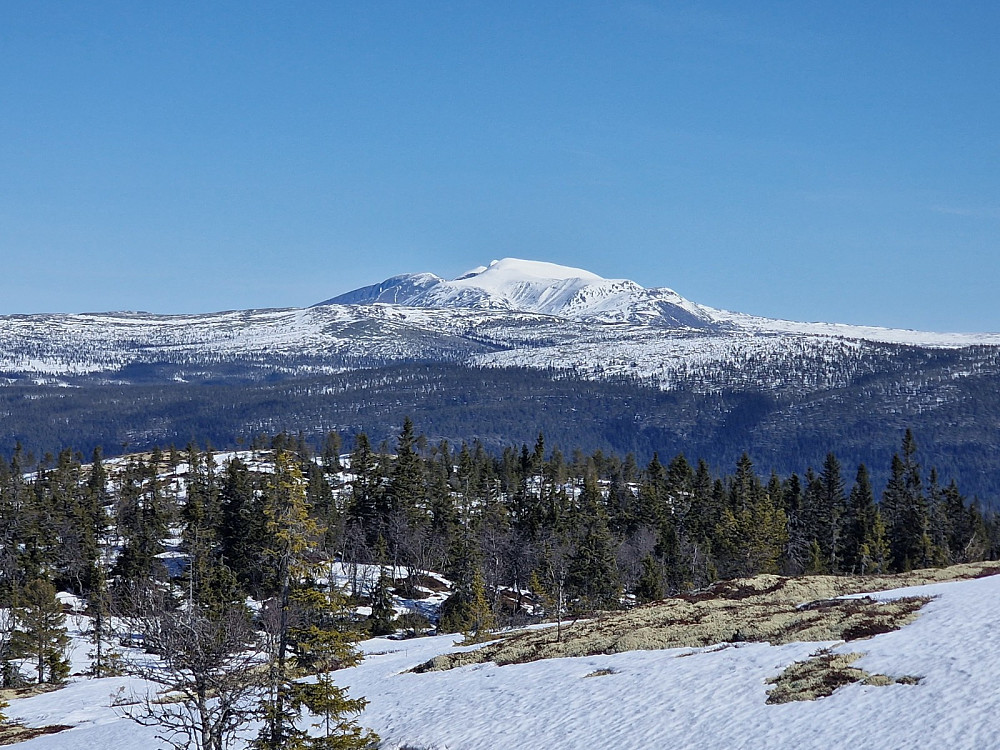 Sølen