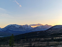 Peregrinus_20250513_6823aba2342e3.jpg