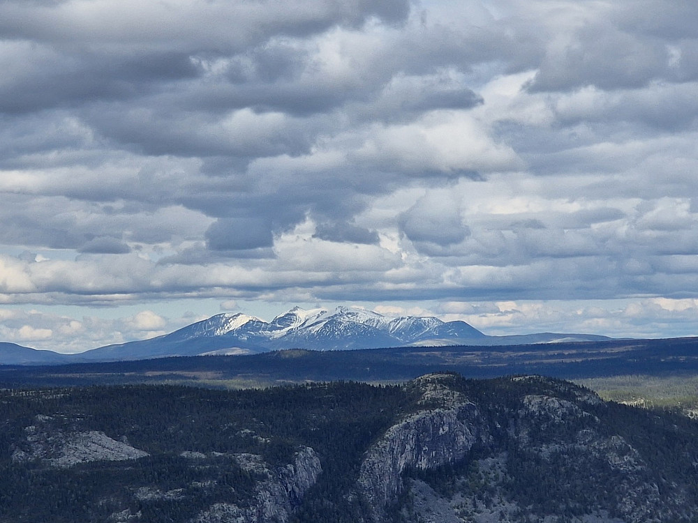 Rendalssølen
