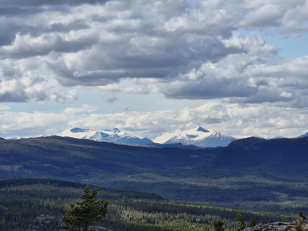 Rondane