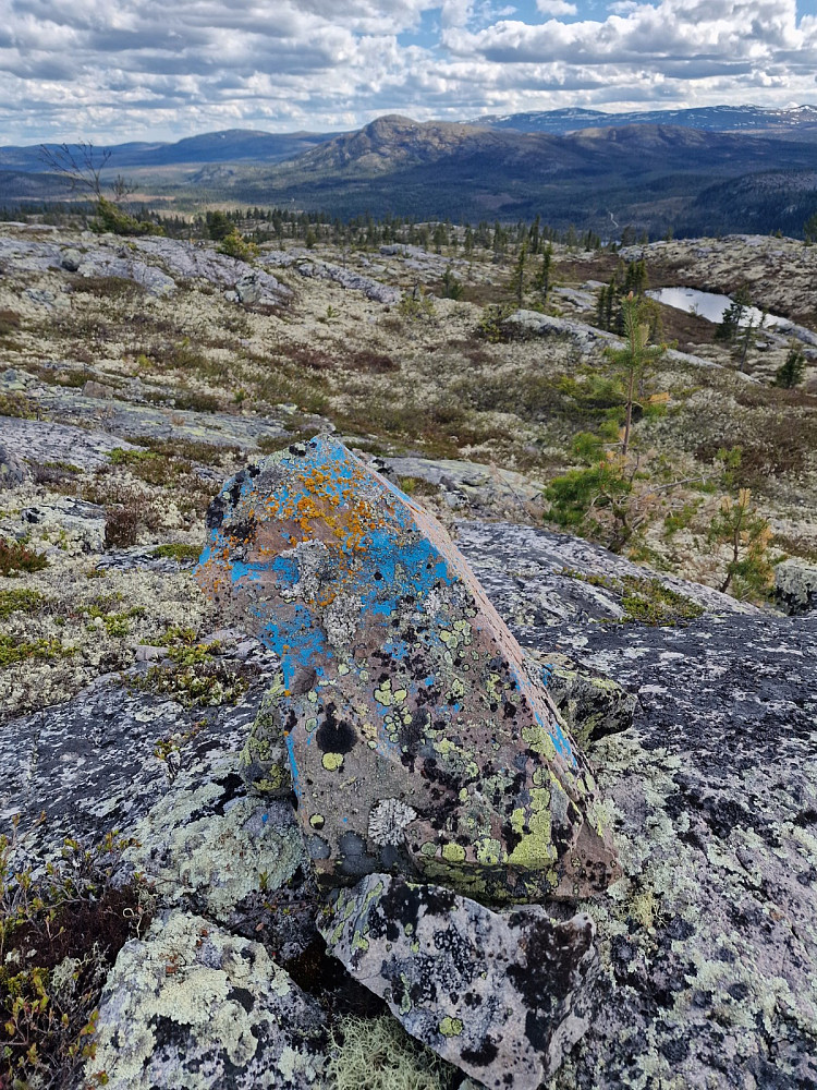 Blåmerket stein men ingen sti