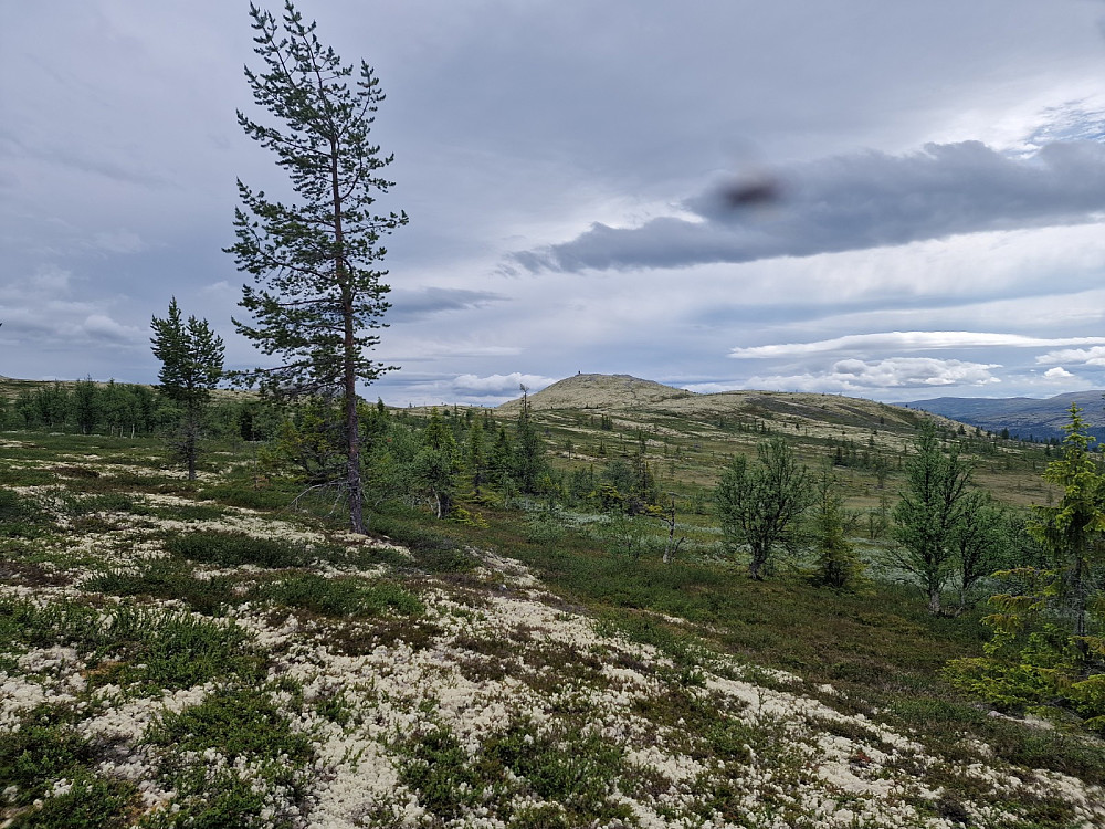Gaupskardskampen ble dagens siste topp