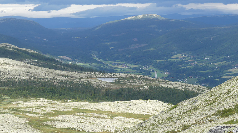 Tylldalen