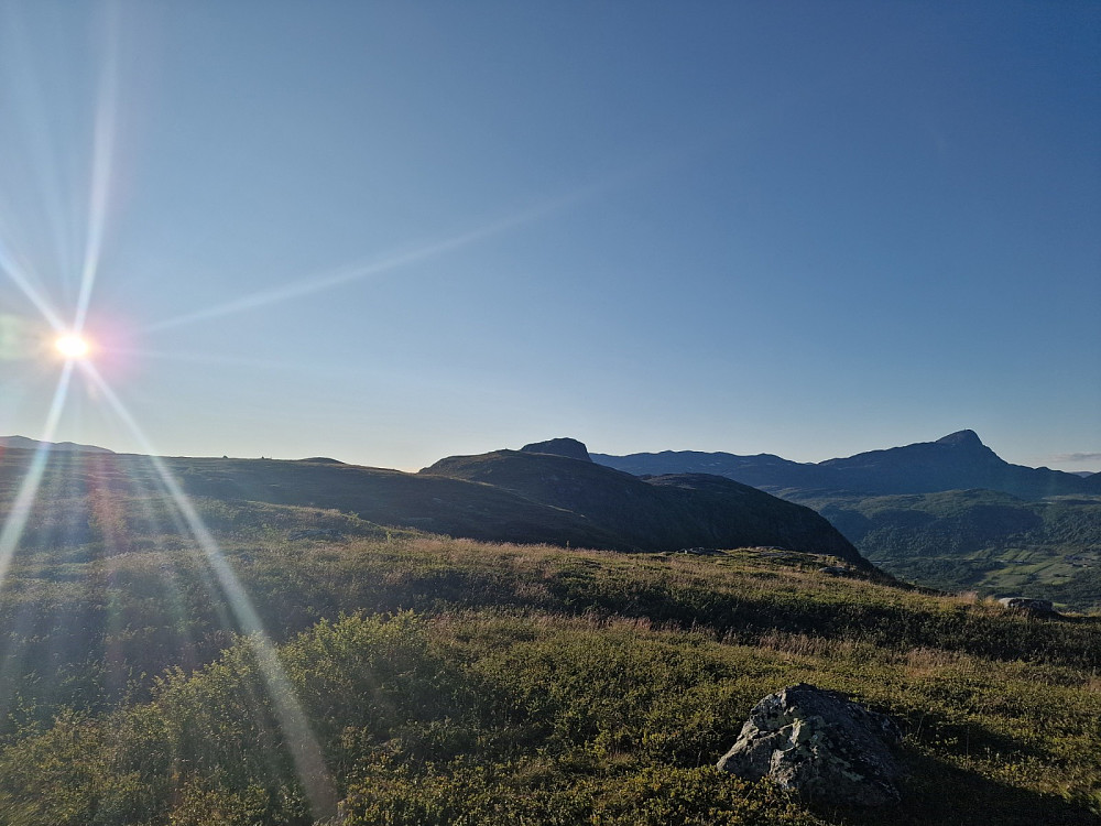 Ute av skogen