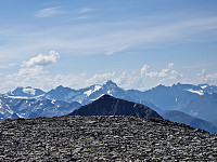 Peregrinus_20250719_687bbe24b60e4.jpg