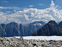 Peregrinus_20250719_687bbe2531429.jpg
