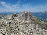 Peregrinus_20250719_687bbe25a589c.jpg