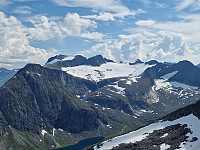 Peregrinus_20250719_687bbe26327c1.jpg