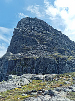 Peregrinus_20250719_687bbe269fdb1.jpg