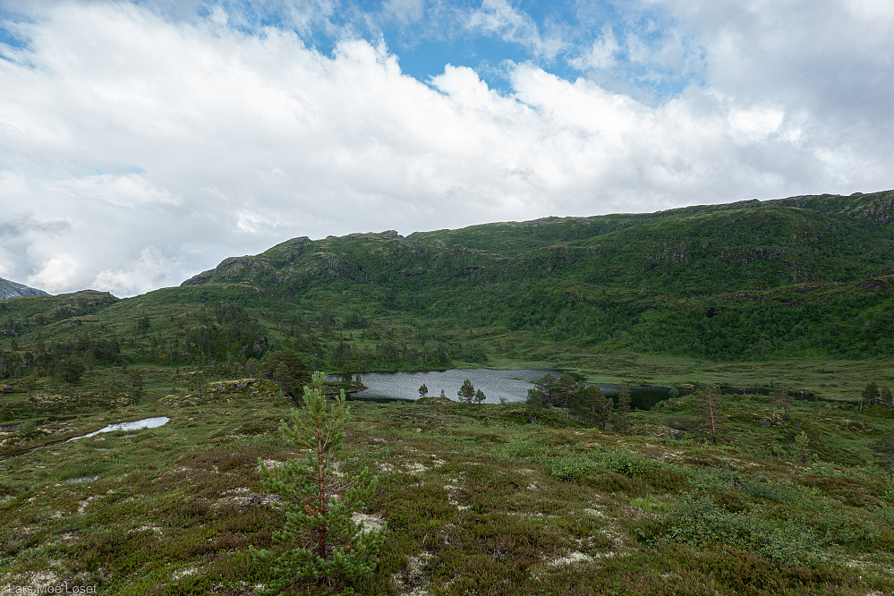 Svartvatnet med Ørnhammarfjellet og Bollåsfjellet bak.