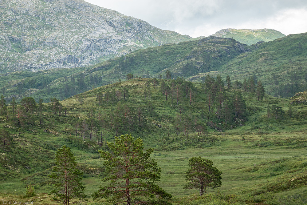 Dagens turmål: Solgjøta inne i Skarpdalen.