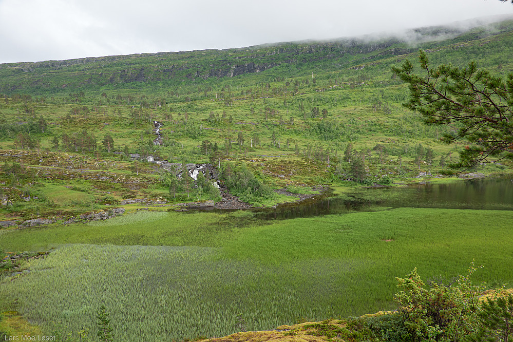 Frodig der Skarpdalsbekken renner inn i Grytvatnet.