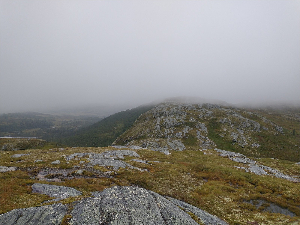 Langvassfjellet. Kan vel skimte Langvatnet bak til venstre.