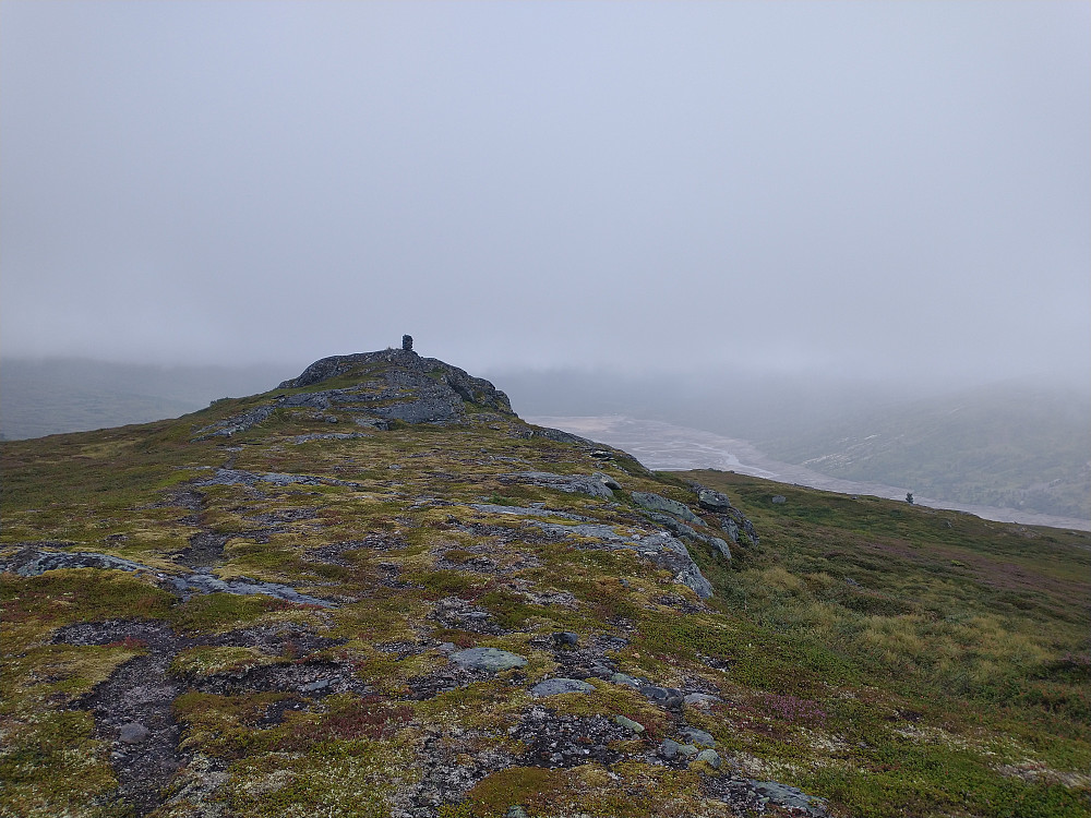 Ringbekkjølen