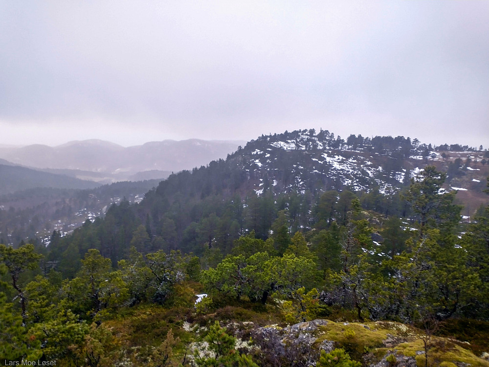 Høgberget.