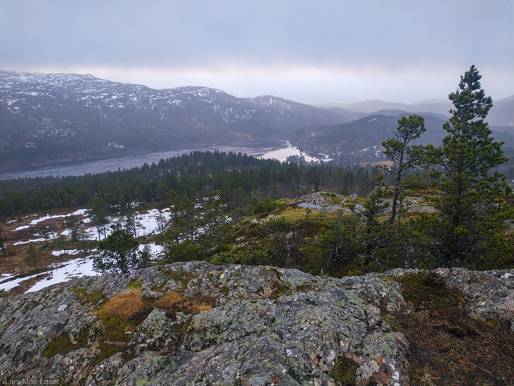 Fra toppen av Oksberget med utsikt sørvestover mot Frillsjøen.
