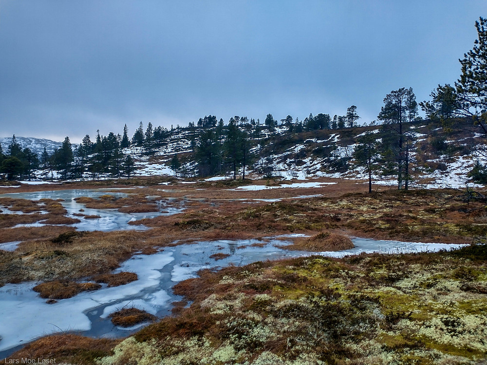 På vei opp mot Oksberget.