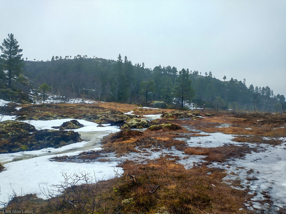 Man ser Høydalskamben straks en kommer opp på Vargmyra.