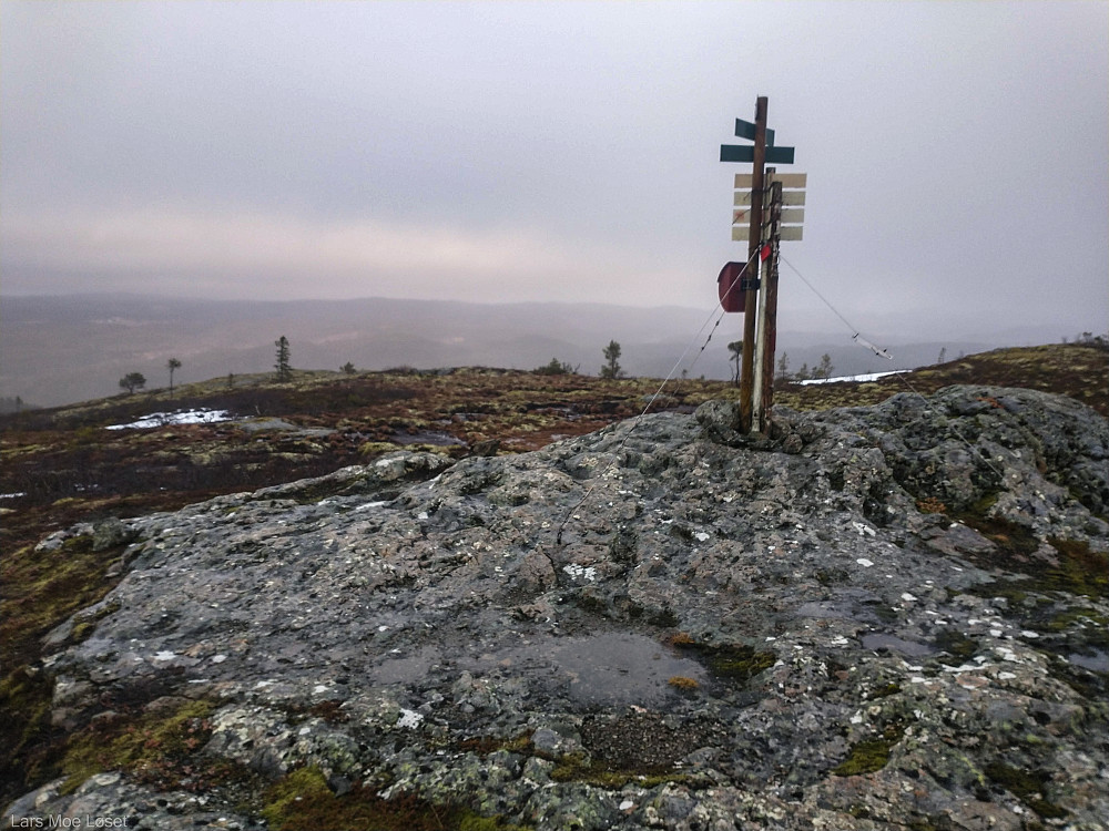 Toppunktet på Høydalskamben.