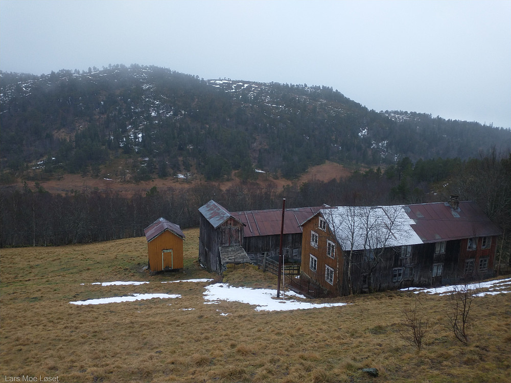 Grønlihøgda sør for Høydalen.